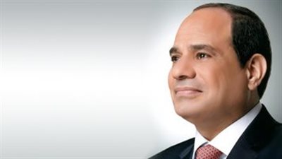 برلماني: أشكر الرئيس السيسي على تلبية نداء الشعب المصري 