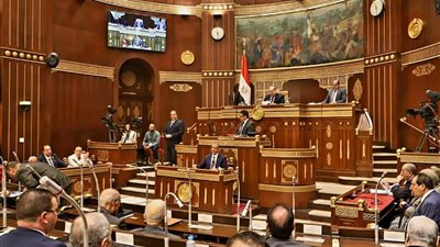 عاجل.. جلسة طارئة لمجلس الشيوخ للنظر في تداعيات الأوضاع بالأراضي الفلسطينية