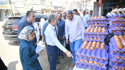 محافظ الغربية يتفقد منافذ ومعارض بيع السلع الغذائية بأسعار مخفضة بكفر الزيات وبسيون (صور)