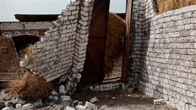 حملات مكثفة للتصدي للبناء المخالف في محافظة الدقهلية 