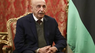 رئيس مجلس النواب الليبي يصدر قوانين انتخابية 