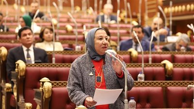 النائبة حياة خطاب تتحدث عن أهمية الندوة التثقيفية وتهنئ الرئيس السيسي بحلول ذكري انتصارات أكتوبر