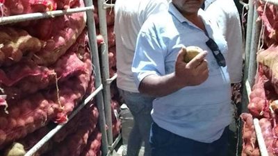 ضبط 5 أطنان بطاطس تالفة بإحدى الثلاجات بالقليوبية