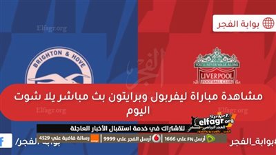 نتيجة التعادل تحسم موقعة ليفربول وبرايتون اليوم في الدوري الإنجليزي 2023-24