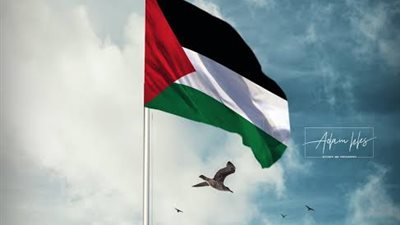 أخبار فلسطين اليوم.. غزة تصمد وارتفاع أعداد قتلى الاحتلال الإسرائيلي لـ700