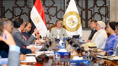 توجيه جديد من وزيرة البيئة بشأن السحابة السوداء 