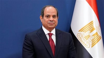 أستاذ تاريخ: ما يحدث في غزة هدفه التشويش على إنجازات السيسي