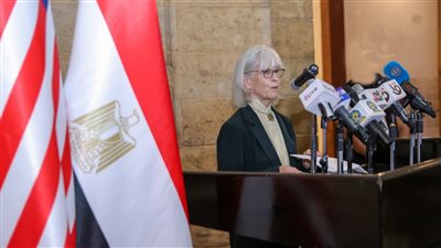 القائم بأعمال السفير الأمريكي: نجري اتصالات مكثفة مع مصر حول التطورات في غزة