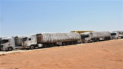 ماذا تحمل قوافل التحالف الوطني للإغاثة المتجهة إلى غزة؟ (فيديو)