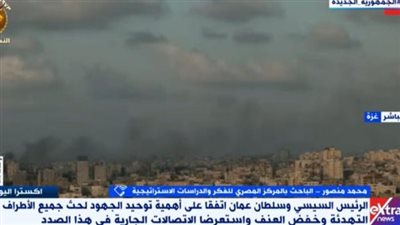 مفكر استراتيجي: مصر تتدخل دوما لنجدة الأشقاء في غزة 