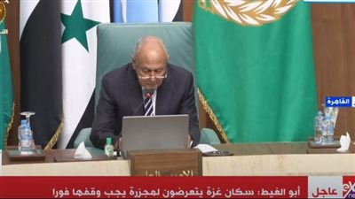 أحمد أبو الغيط: سكان غزة يتعرضون لمجزرة ويتعين إيقافها فورا 