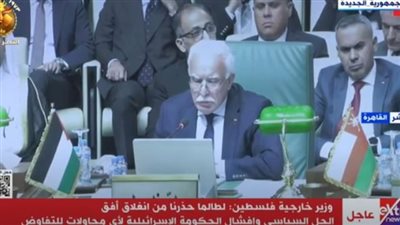 وزير الخارجية الفلسطيني: غزة تتعرض لمجازر جماعية 