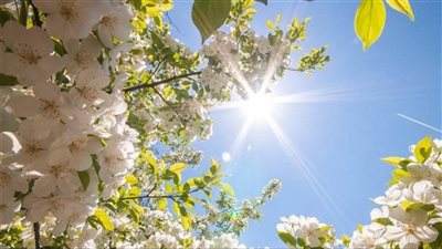 اعرف حالة الطقس اليوم الأحد 15 أكتوبر بالأقصر وجميع المحافظات 