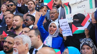 نقيب المحامين خلال وقفة دعم فلسطين يشيد بالموقف المصري وإدخال المساعدات