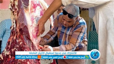 ضبط 280 مخالفة تموينية خلال حملات تفتيشية على الأسواق والمخابز بالمنيا