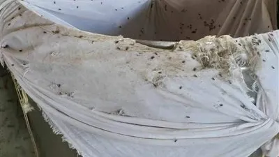 الماكينات بها حشرات.. ضبط مصنع غير مرخص يُنتج جبن رومي بملح فاسد ببورسعيد