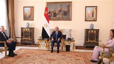 عاجل.. السيسي يستقبل سكرتير عام منظمة التعاون الاقتصادي والتنمية