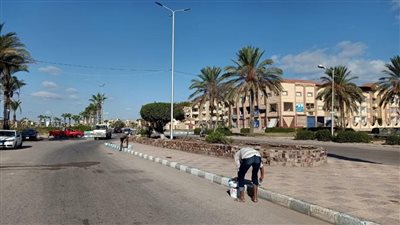 حملات مكثفة في شوارع وميادين جمصة 