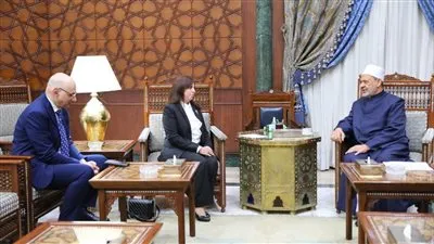 لهذا السبب.. شيخ الأزهر يستقبل سفيرة مصر لدى رواندا