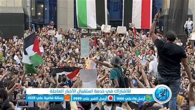 حرق العلم الإسرائيلي على سُلم نقابة الصحفيين المصريين (فيديو)
