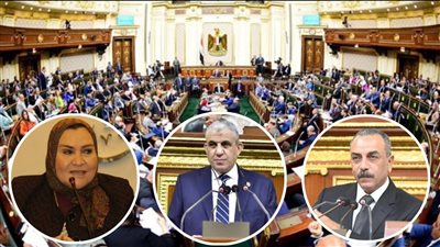 برلمانيون: مصر خط أحمر.. وندعم الرئيس في جميع قراراته تجاه القضية الفلسطينية 