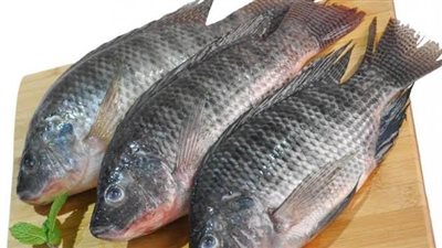 أسعار الأسماك اليوم الخميس فى محافظة الغربية 