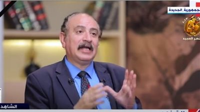 خبير: مصر لديها خبرة في التعامل مع القضية الفلسطينية.. ومجلس الأمن غابة سياسية