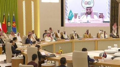 عاجل- قمة عربية في الرياض من أجل التوصل لاتفاق بشأن غزة 
