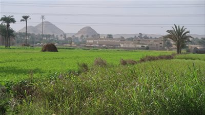 فوز سيوة ودهشور بأفضل القرى الريفية السياحية لعام 2023