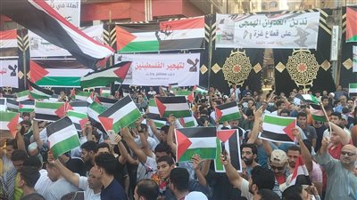 حشود هائلة من أهالي المنوفية يدعمون قرار الرئيس لا التهجير 