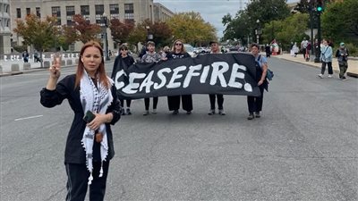 موقف جريء لسوزان نجم الدين مع يهود أميركا أمام الكونغرس