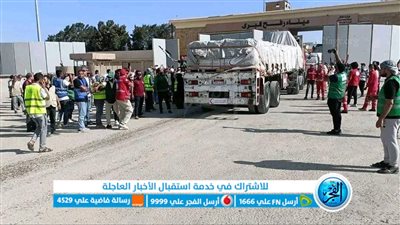 فرحة وهتافات مع عبور شاحنات المساعدات إلى قطاع غزة عبر معبر رفح