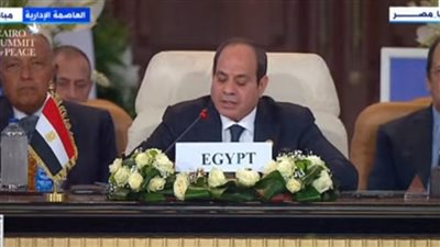 عاجل| السيسي يشدد: تصفية القضية الفلسطينية لن يحدث أبدا على حساب مصر
