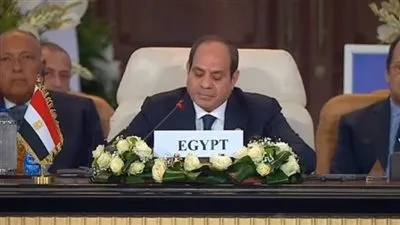 السيسي: حل القضية الفلسطينية ليس التهجير.. وليس إزاحة شعب بأكمله 
