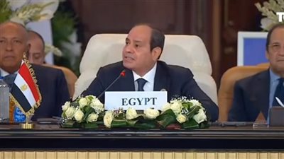 برلماني: كلمة السيسي بقمة السلام واضحة وصريحة (فيديو)