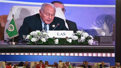 حقيقة خلاف أمين عام الجامعة العربية وأمير قطر (فيديو)