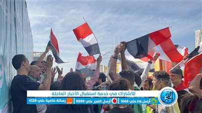 سائقو الشاحنات العائدة من معبر رفح يحتفلون بدخول المساعدات إلى قطاع غزة (فيديو)