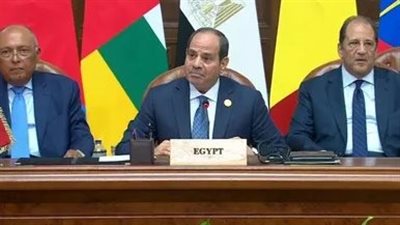 متحدث الرئاسة يكشف حقيقة انسحاب بعض الدول من قمة القاهرة للسلام