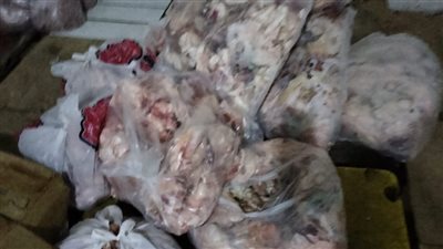ضبط 41 طنا و280 كجم مصنعات لحوم وهياكل دواجن وكبدة فاسدة بالجيزة