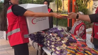 العمل التطوعي..كيف تعيش غزة على المساعدات والعمل التطوعي؟