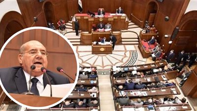 انتقاد الحكومة لهذه الأسباب.. ماذا حدث بالجلسة العامة لمجلس الشيوخ؟