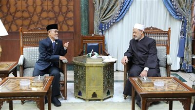 شيخ الأزهر: نعتزُّ بعلاقتنا التاريخية مع إندونيسيا