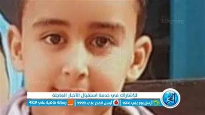 مصرع طفل إثر تعرضه لصعق كهربائي بالمنوفية