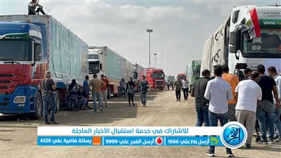 سائقو الشاحنات المصرية في معبر رفح يروون مشاهد الدمار التي شاهدوها في غزة