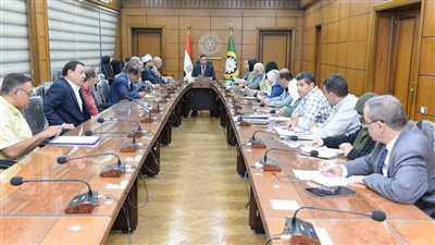 تخفيض الأسعار وموقف المشروعات.. أبرز محاور اجتماع محافظ الدقهلية مع الجهاز التنفيذي 