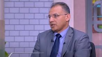 فرحات: المبادرة المصرية خطوة أولى نحو وقف إطلاق النار في غزة.. وبيان الاستعلامات يحسم الجدل