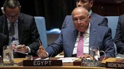 شكري يطالب مجلس الأمن بوقف العدوان الإسرائيلي على غزة