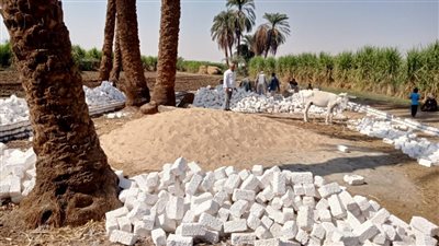 بالصور.. حملات إزالة للتعديات على 15 فدان أملاك دولة وأراض زراعية في دشنا