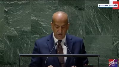 ممثل مصر في الأمم المتحدة: الحرمان من المساعدات الإنسانية ما هو إلا حكم بالموت على أهل غزة