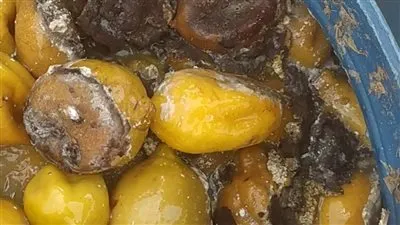  ضبط 9 طن مخلل فاسد في الغربية (صور)